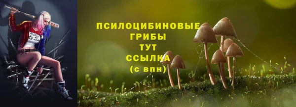 дурь Абинск