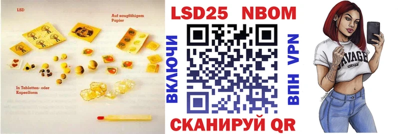 блэк спрут как войти  Новотитаровская  Лсд 25 экстази кислота 